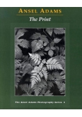 The print