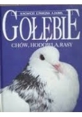 Gołębie.  Chów, hodowla, rasy