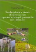 Kondycja krów w okresie okołoporodowym a parametry
