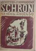 Schron na placu Zamkowym, 1947 r.