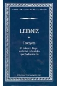 Teodycea. O dobroci Boga, wolności człowieka i pochodzeniu zła