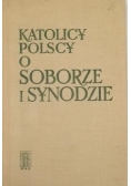 Katolicy polscy o soborze i synodzie