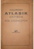 Kolorowy atlasik grzybów i ziół leczniczych