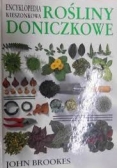 Rośliny doniczkowe