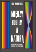 Między Bogiem a naturą : komparatystyka jako filozofia kultury
