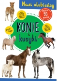 Konie i kucyki