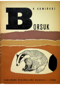 Borsuk