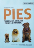 Pies Pielęgnacja szkolenie i trening charakteru