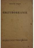 Grzybobranie