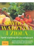 Owoce, warzywa i zioła