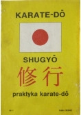Karate-do shugyo. Praktyka karate-do