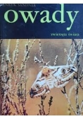 Owady