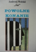 Powolne konanie