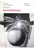 Temoins et temoignages chemins du surrealisme