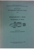 Krągłouste i ryby