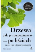 Drzewa - jak je rozpoznawać po liściach