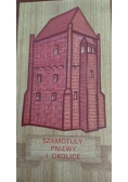 Szamotuły,Pniewy i okolice