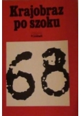 Krajobraz po szoku