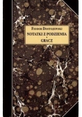 Notatki z podziemia, Gracz
