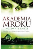 Akademia Mroku. Rozdarte dusze