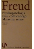 Psychopatologia życia codziennego Marzenia senne