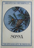 Sosna 1927 r.