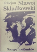 Strzępy meldunków