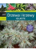Drzewa i krzewy iglaste