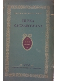 Dusza Zaczarowana