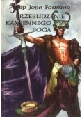 Przebudzenie kamiennego Boga