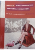 Sklepy cynamonowe: Sanatorium pod Klepsydrą