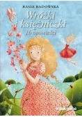Wróżki i księżniczki 16 opowieści