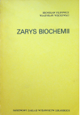 Zarys biochemii