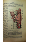 Traite D Anatomie Humaine ok. 1949 r5 tomów