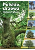 Polskie drzewa liściaste i iglaste