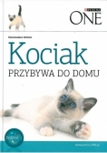 Kociak przybywa do domu