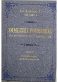 Zameczki podolskie na kresach multańskich Tom I Reprint z 1880 r