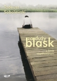 Za duży blask o kinie współczesnym