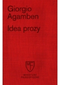 Idea prozy
