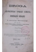 Droga do prawdziwego spokoju sumienia i doskonałości moralnej, 1873 r.
