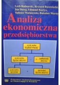 Analiza ekonomiczna przedsiębiorstwa