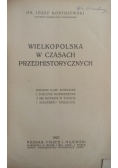 Wielkopolska w czasach przedhistorycznych 1923 r.