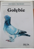 Gołębie