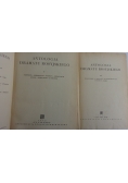 Antologia Dramatu Rosyjskiego, tom I-II