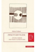 Zwroty krytyczne
