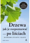 Drzewa - jak je rozpoznawać po liściach