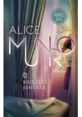 Księżyce Jowisza BR