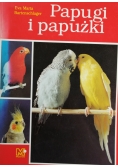 Papugi i papużki