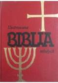 Ilustrowana Biblia młodych