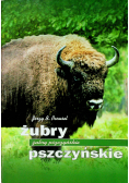 Żubry pszczyńskie